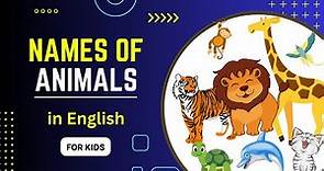 Names of Animals | Names of Animals in English and their Pictures and Videos | Step to Learn