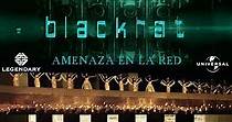 Blackhat: Amenaza en la red - película: Ver online