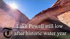 Despite historic water year, low water at Lake Powell reveals thriving native ecosystems