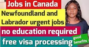 Canada Jobs: Newfoundland and Labrador Employers are Now Hiring from Abroad *Visa Sponsored*
