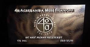 40 Acres and a Mule Filmworks (1994)