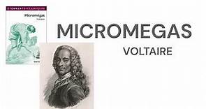 Micromégas - Voltaire - Livre audio complet