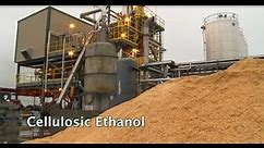 Renewable Biofuels and Biochemicals: Cellulosic Ethanol
