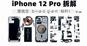 【享拆】iPhone 12 Pro拆解： 来，跟我念：b-i-a-o g-a-n，标杆！-XYZONE