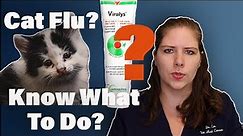 Congested Cat? Should You Give Lysine? Learn All About Feline Upper Respiratory Infections | Dr. Em