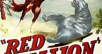 Watch| The Red Stallion Full Movie Online (1947) | [[Movies-HD]]