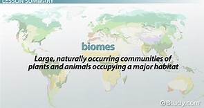 Savanna Biome | Climate, Location & Wildlife