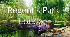 Regent's Park: An Urban Oasis of Design, Nature, and Culture