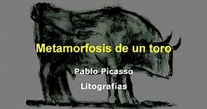 Pablo Picasso, La metamorfosis de un toro