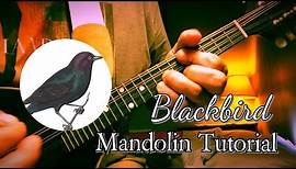 “Blackbird” by the Beatles Complete Mandolin Tutorial