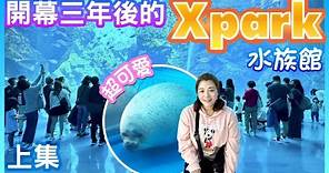 【桃園景點】開幕三年後的「Xpark 水族館」（上集） Taoyuan Taiwan