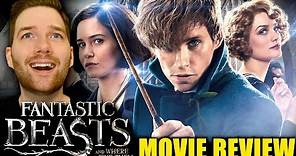 Fantastic Beasts and Where to Find Them - Movie Review