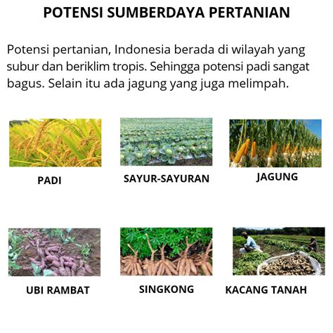 Peningkatan