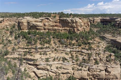 Mesa
