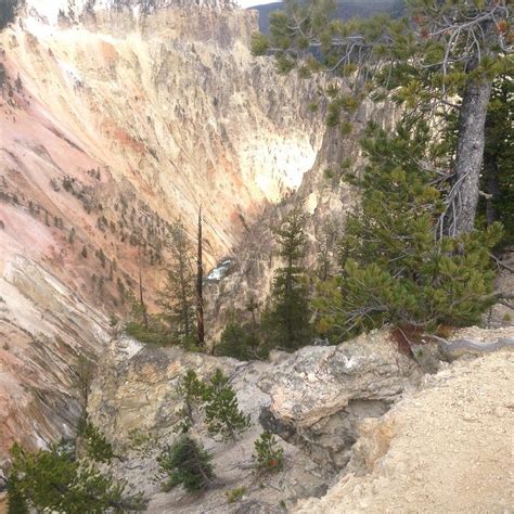 Yellowstone