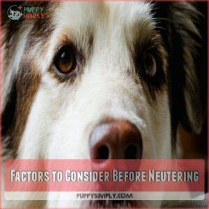 Factors