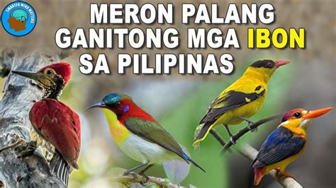 Mga