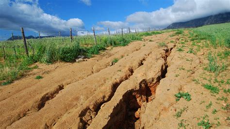 Soil