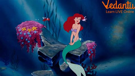 Ariel's Story