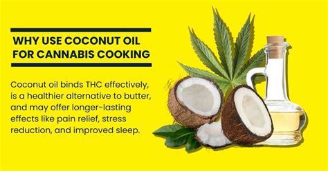 Cannabis Coconut Oil for Pain