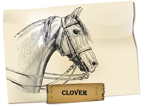 Clover's