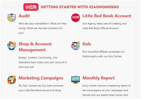 Analytics and Insights in Little Red Book App