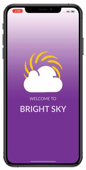 Web version Bright Sky App