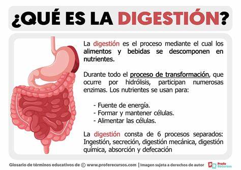 Aids in Digestion