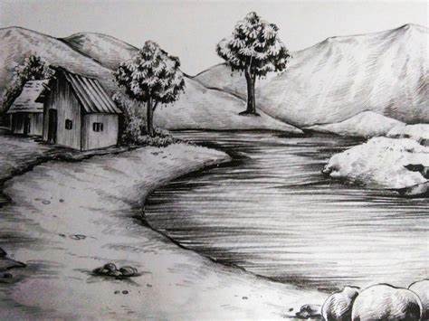 Nature Sketch