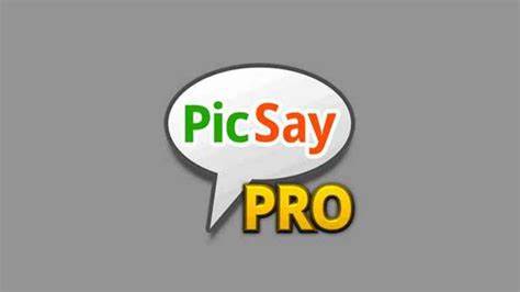 PicSay Pro Opsi Menyimpan