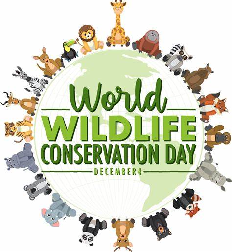 education for wildlife conservation