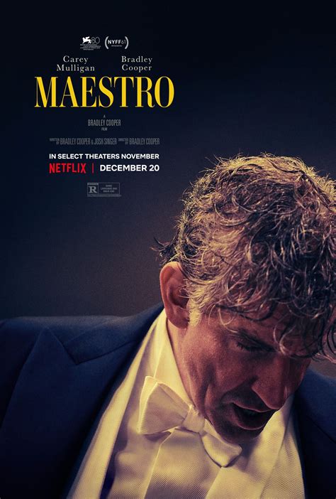 Maestro(s) review