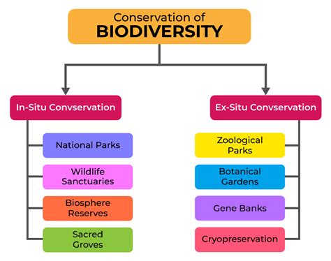 Conservation
