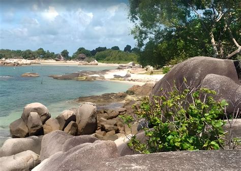 Tanjung