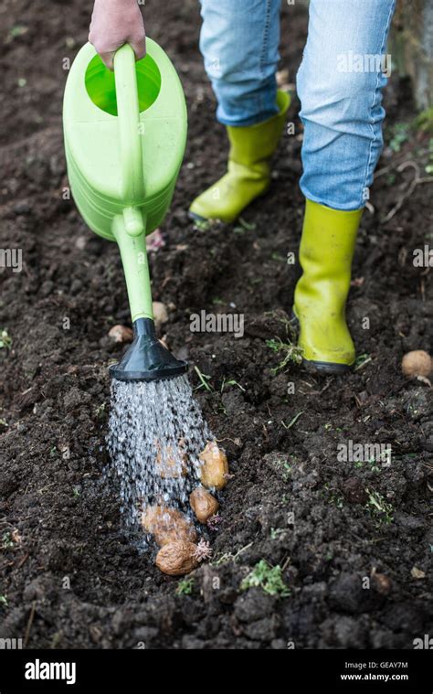 Watering