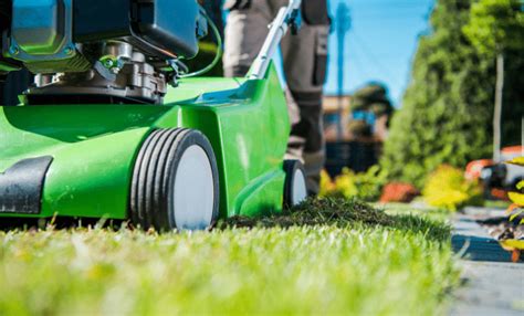 professional lawn care benefits