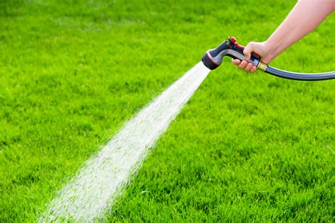proper watering for lawn