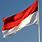 印尼 国旗
