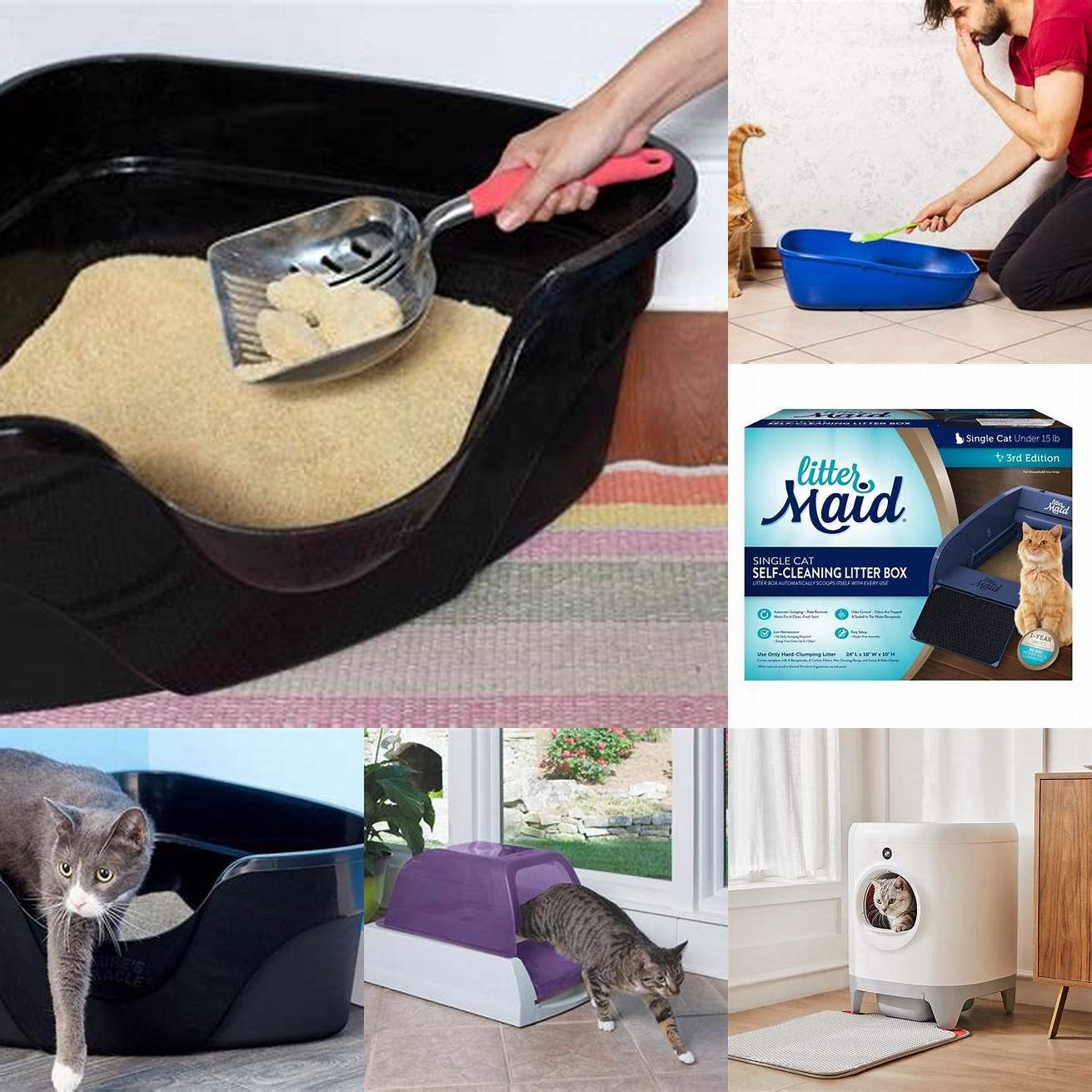 1 Clean the litter box regularly