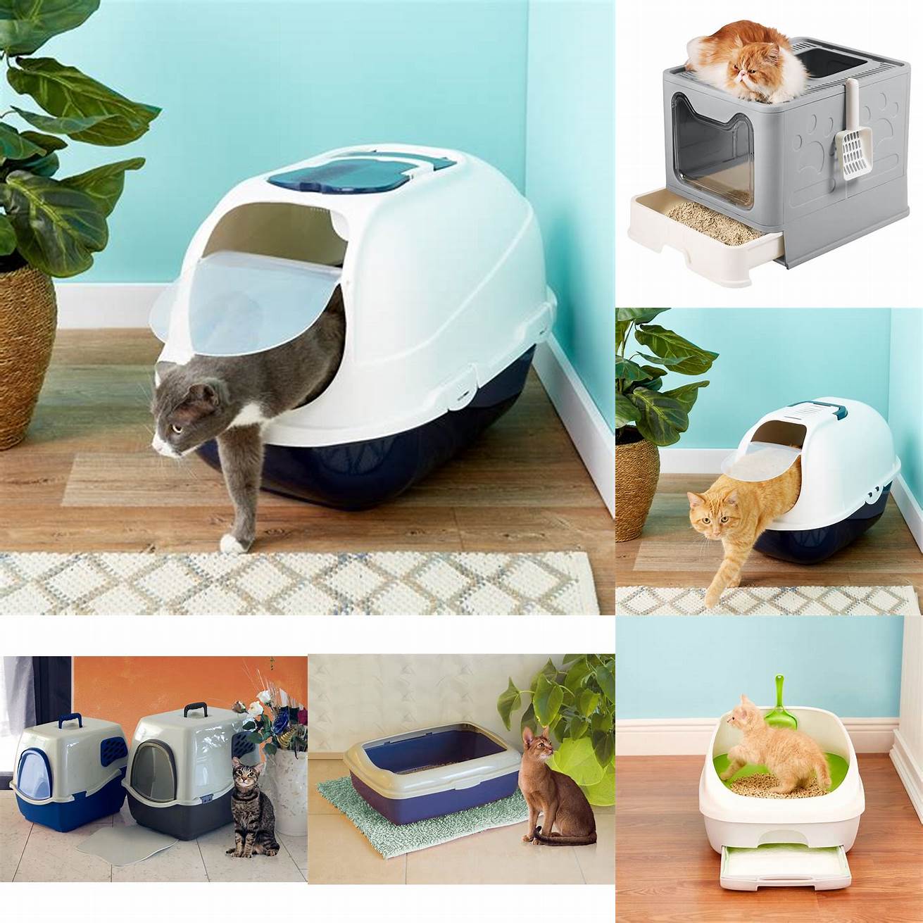 1 Covered Litter Boxes