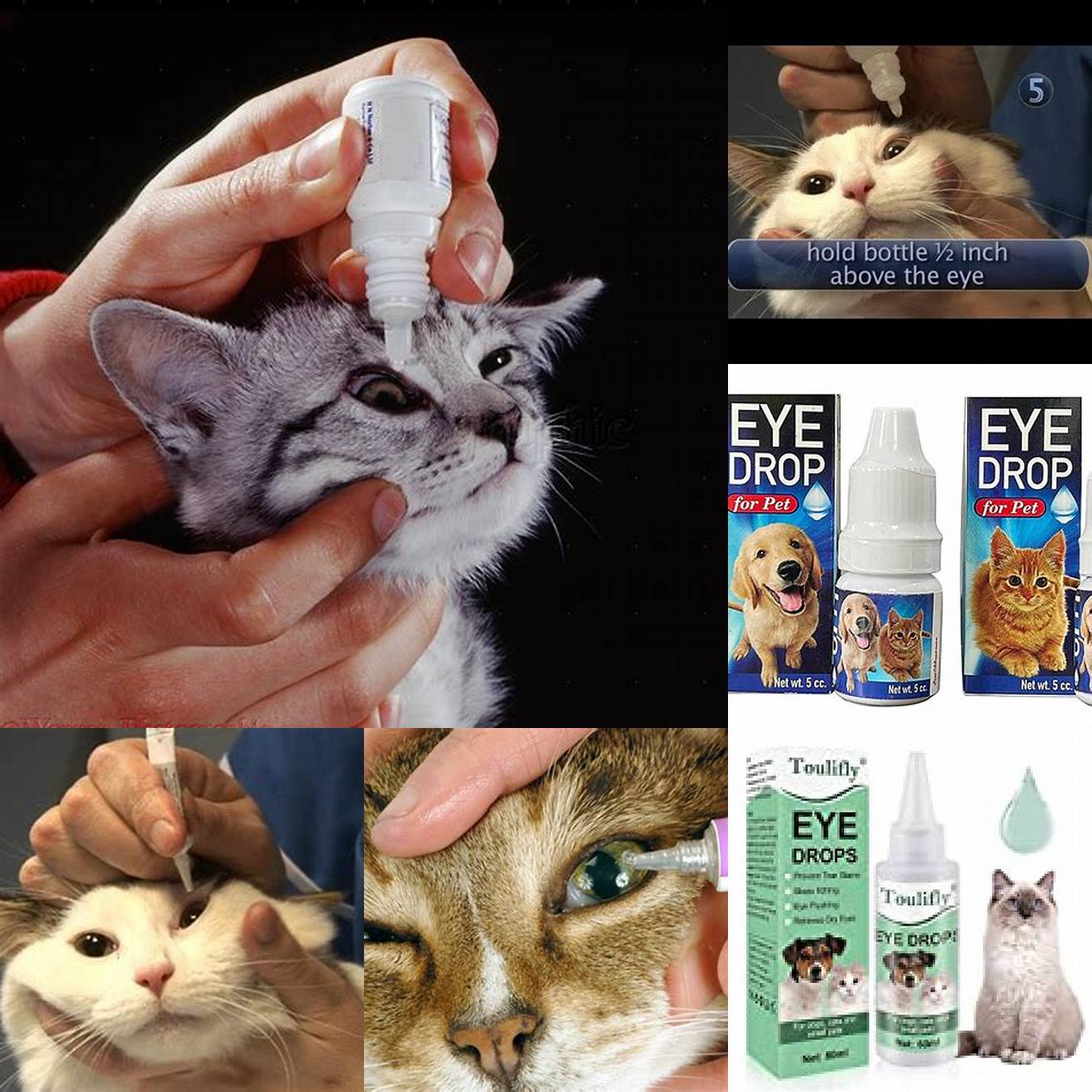1 Follow the instructions that come with your eye drops