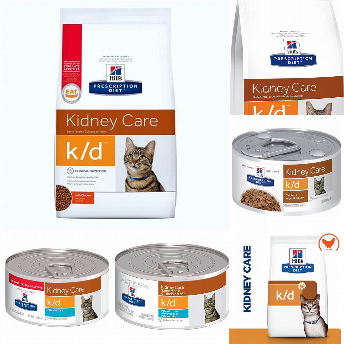 1 Hills Prescription Diet kd Feline Renal Health Dry Food