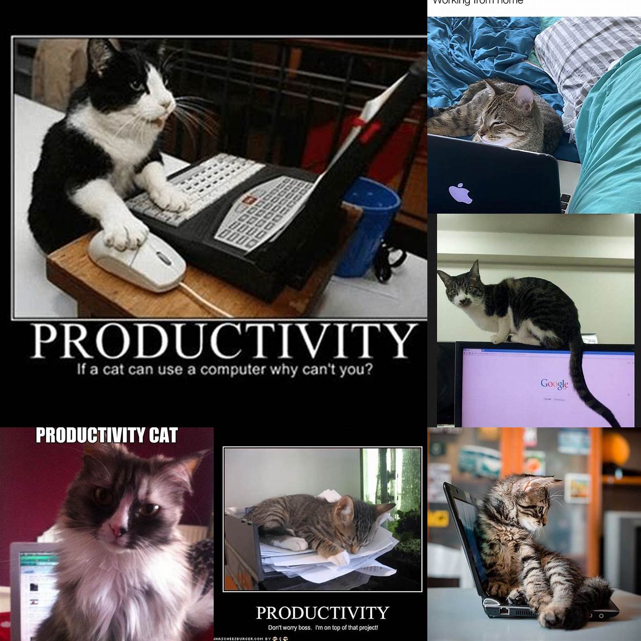 1 Improved Productivity