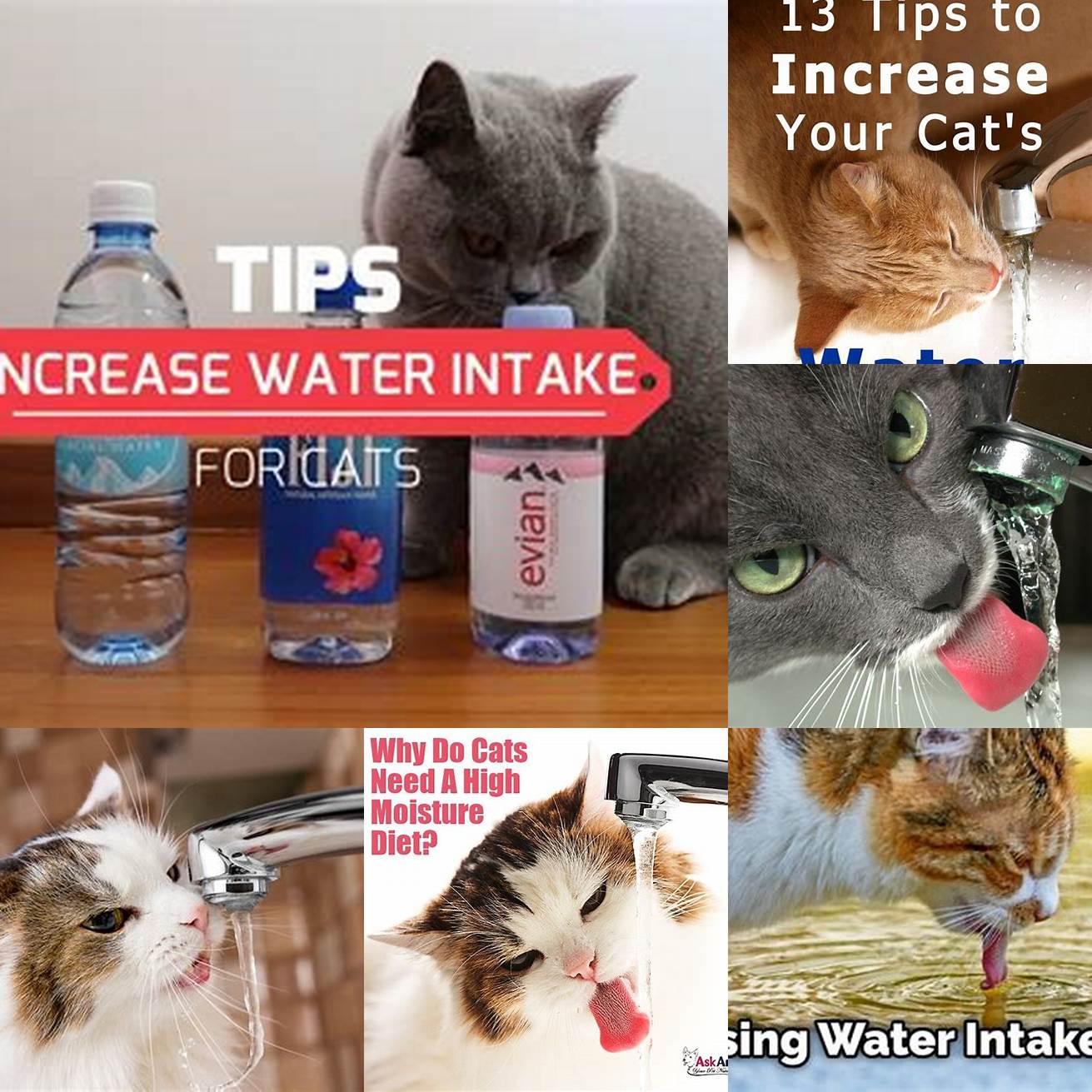 1 Increase Water Intake