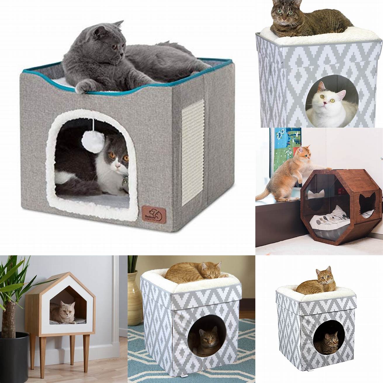 1 Indoor Cat Houses
