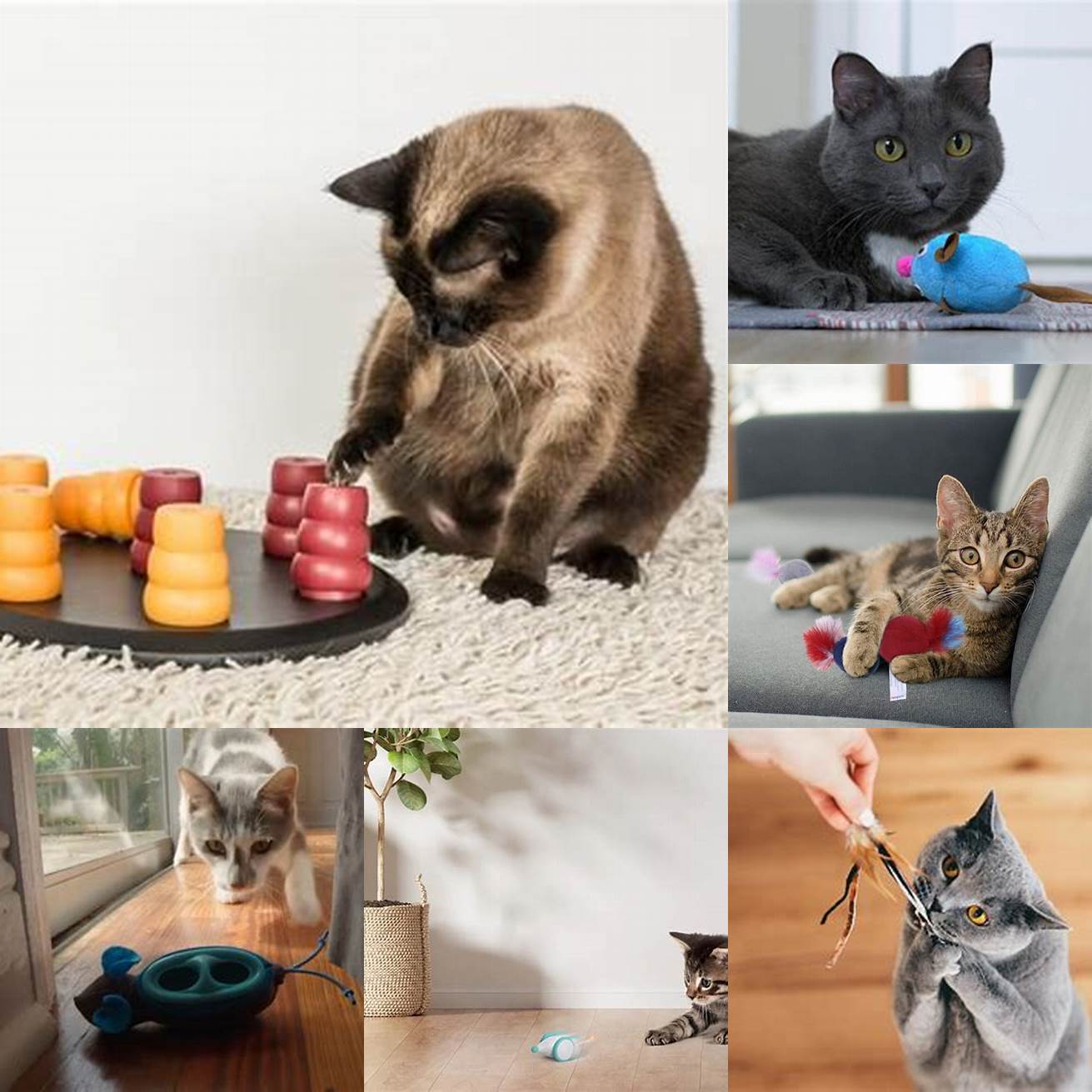1 Provide your cat with plenty of toys and playtime to satisfy their hunting instincts