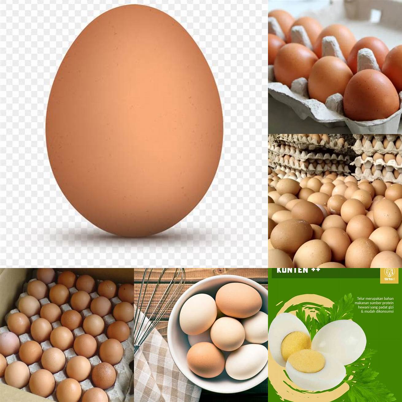 1 butir telur ayam