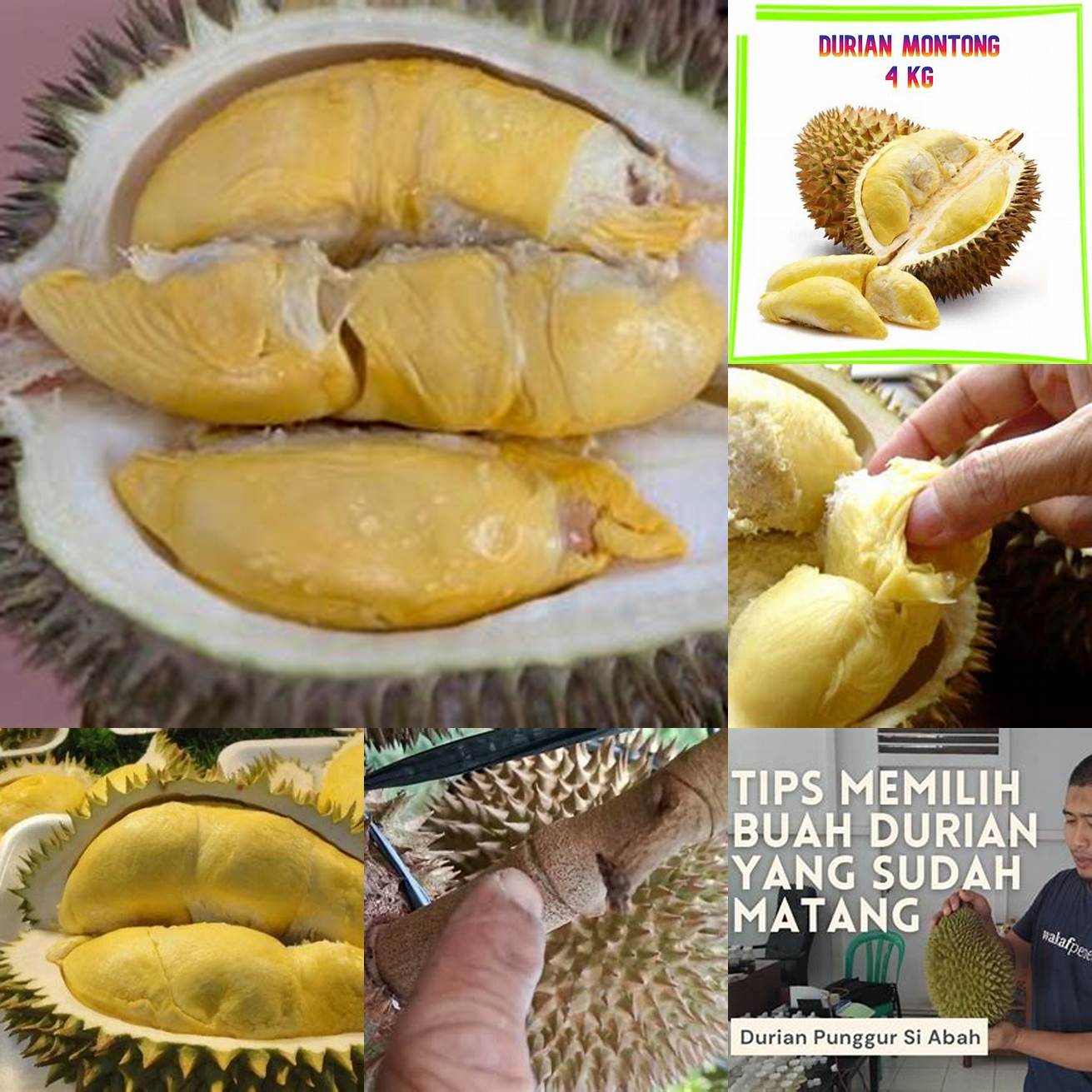 1 kg durian matang