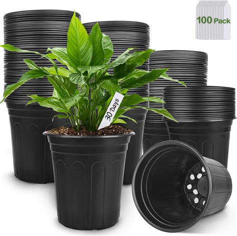 1 gallon plastic pots