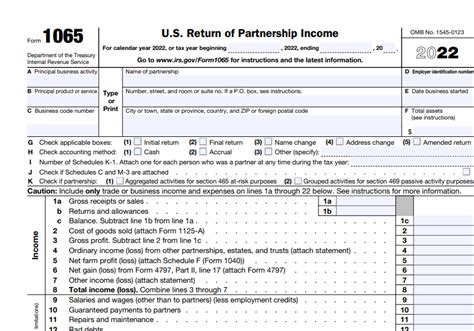 1065 Tax Return Template